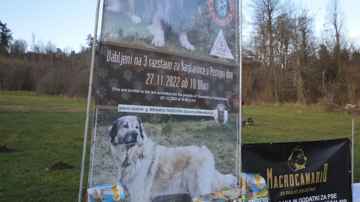 3 Razstava za Šarplanince