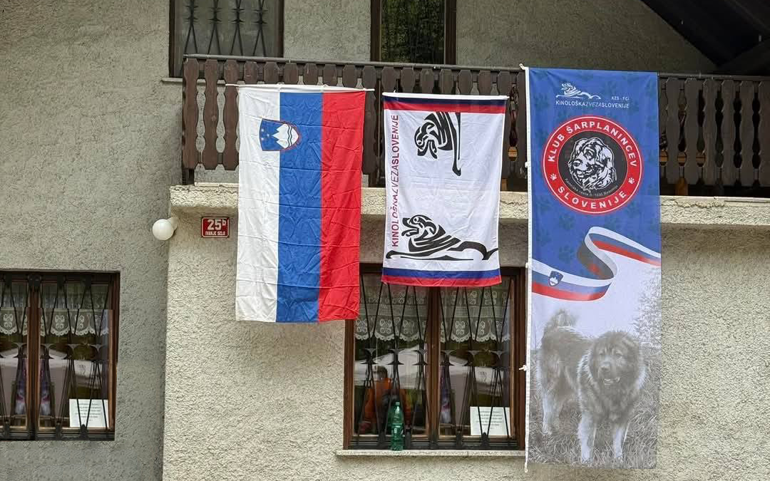 Specialna razstava za Šarplanince